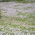 Vacanze Il Marchetto Ottava