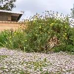 בית נופש Vacanze Il Marchetto *