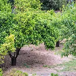 Vacanze Il Marchetto Ottava