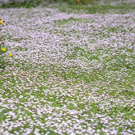 Vacanze Il Marchetto Ottava