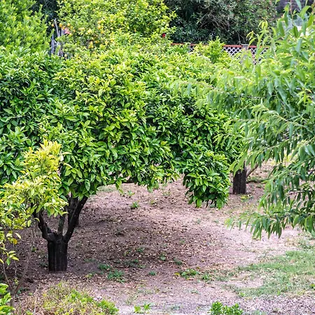 Vacanze Il Marchetto Ottava
