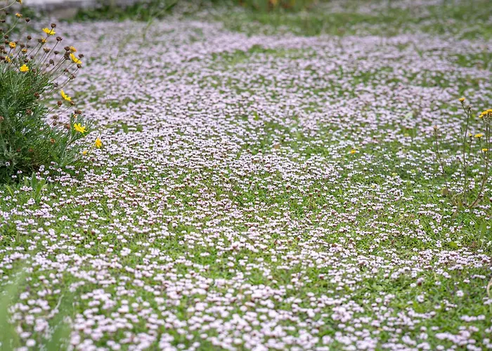Vacanze Il Marchetto Ottava