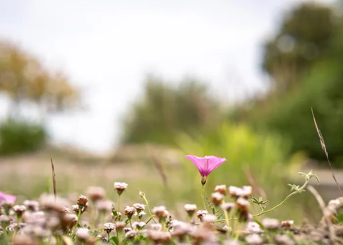 Vacanze Il Marchetto *