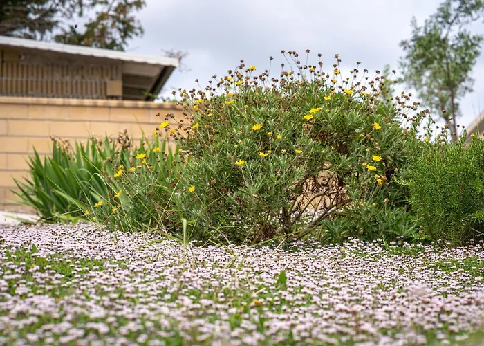 Nyaraló Vacanze Il Marchetto *