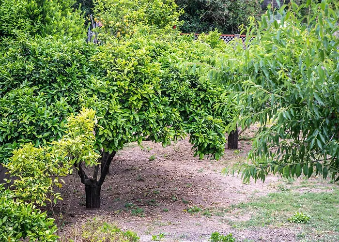 Vacanze Il Marchetto Ottava