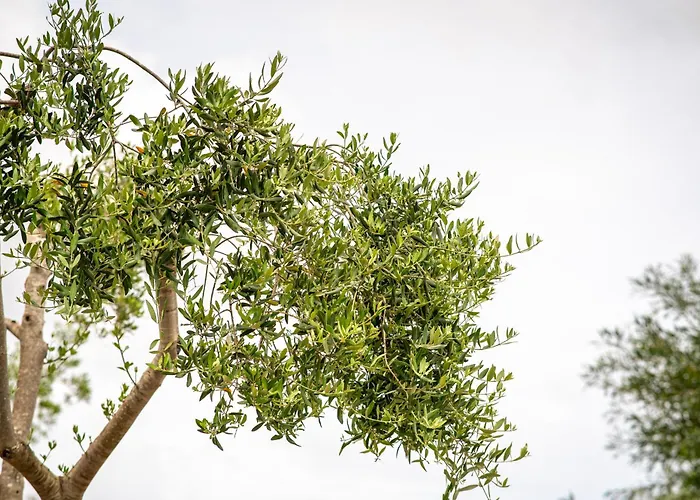 Vacanze Il Marchetto Nyaraló *